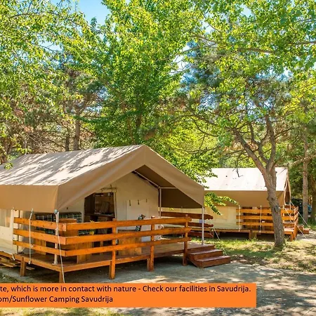 Sunflower Camping