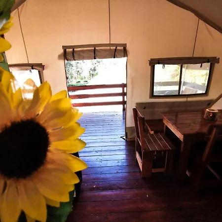 Sunflower Camping Holiday park Mareda