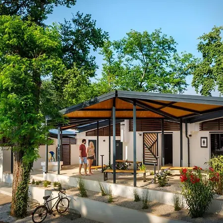 Sunflower 홀리데이파크