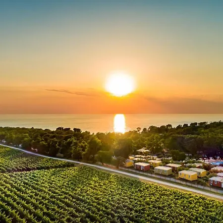 Sunflower Camping 4*