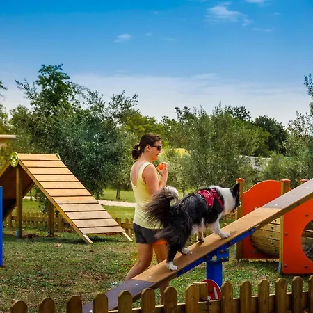 Sunflower Camping Holiday park Mareda