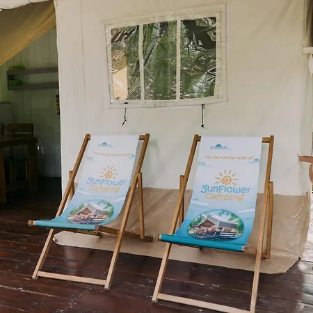 Holiday park Sunflower Camping