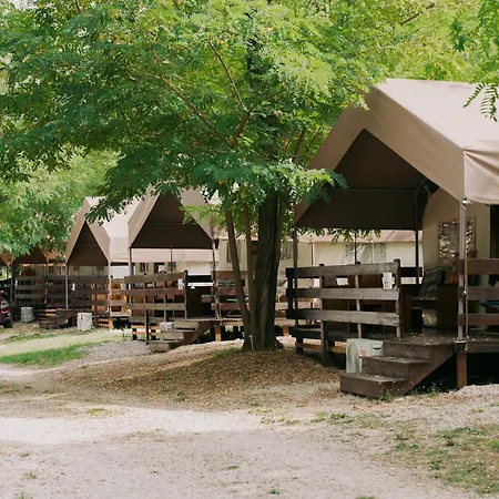 Sunflower Camping Mareda