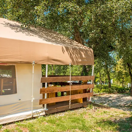 Sunflower Tatil parkı