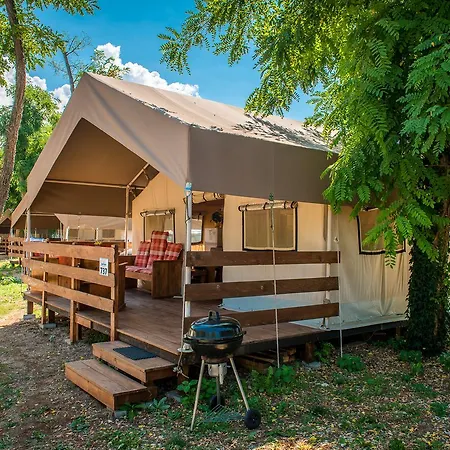 Sunflower Camping