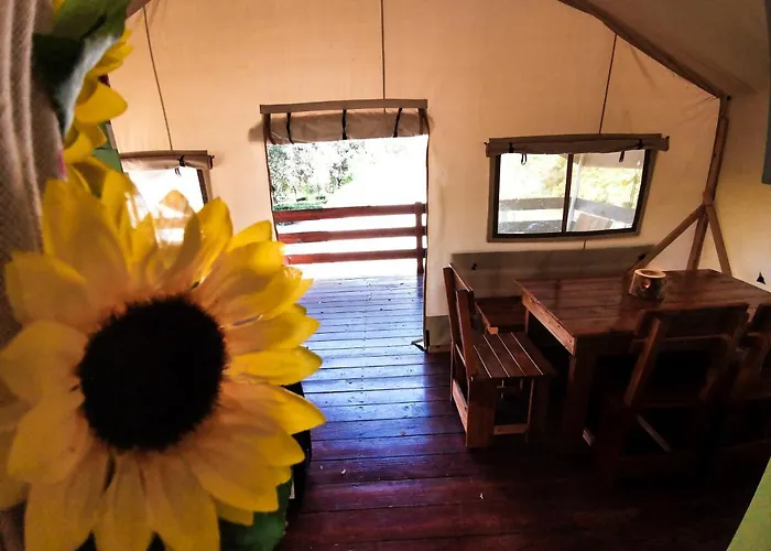 Sunflower 홀리데이파크 Mareda