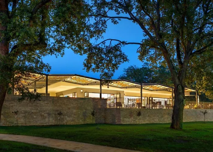 منتزه العطل Sunflower