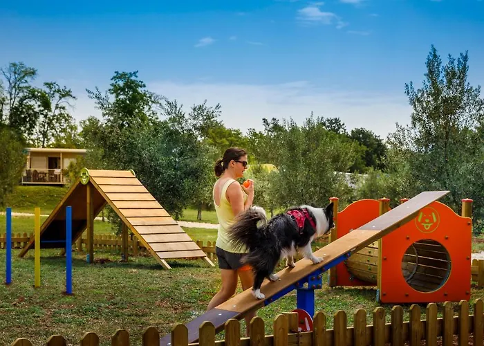 Sunflower 홀리데이파크 Mareda