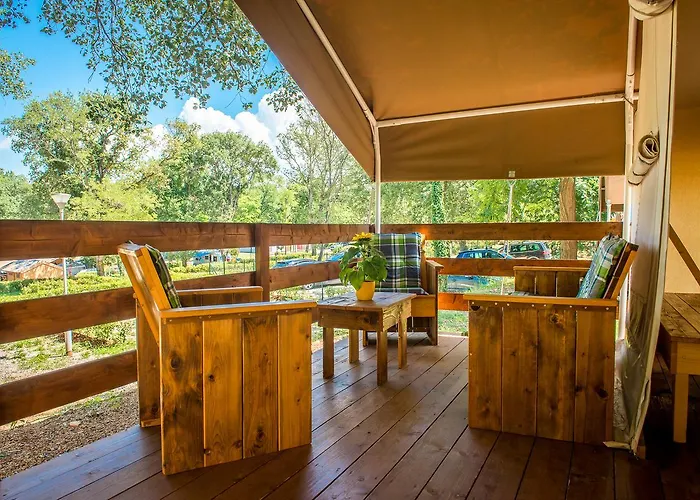 Sunflower 홀리데이파크