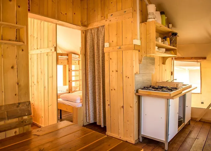 Sunflower منتزه العطل