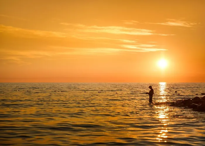 Sunflower פארק נופש Mareda